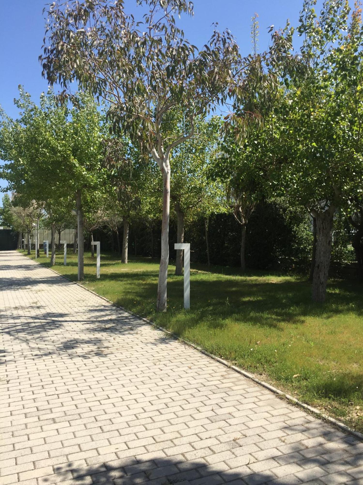 Camping&Residence Il Pioppeto Vasto Esterno foto